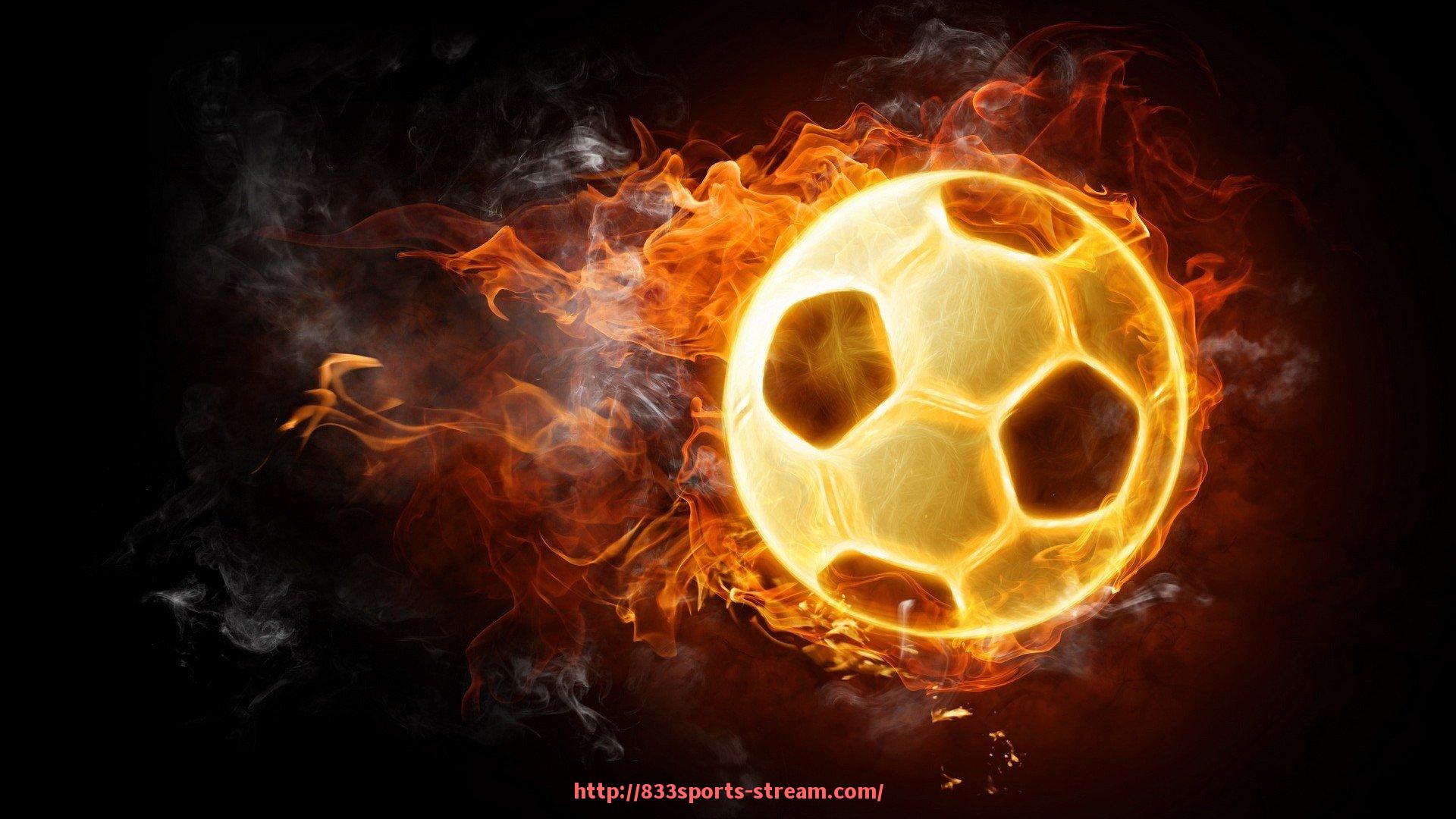 833体育直播-健身器材分类详解及常见训练功能图解汇总